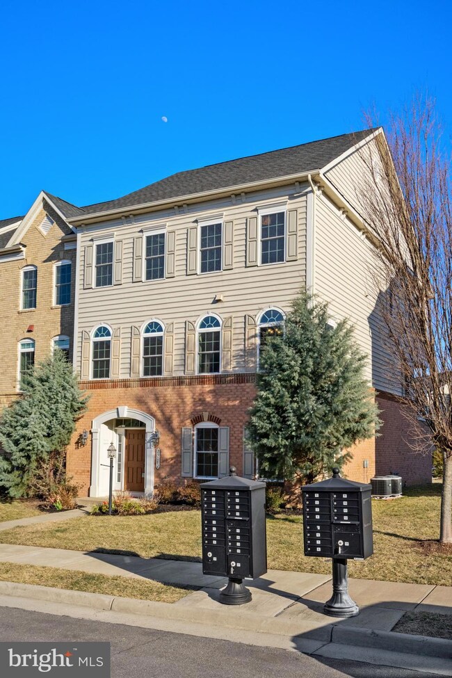 25082 Balcombe Terrace, Chantilly, VA 20152 - photo 5