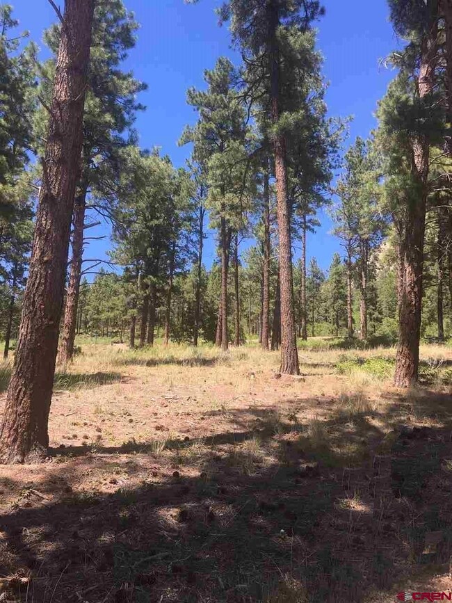 597 Tipple Ave, Durango, CO 81301 - photo 3