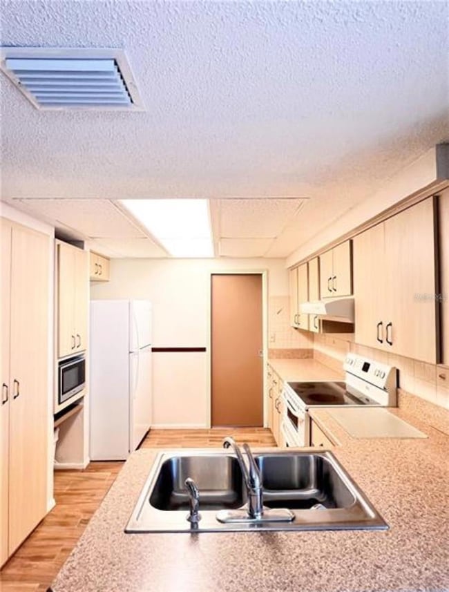 7245 Exemplar Dr, New Port Richey, FL 34655 - photo 4