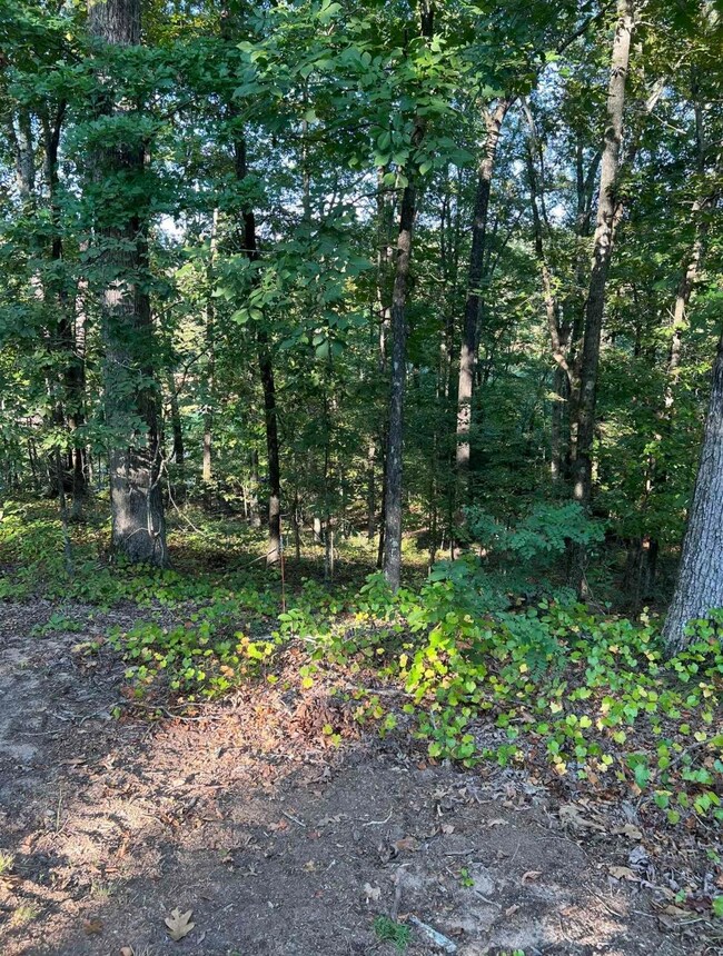 323 Red Oak Cove, Saulsbury, TN 38067 - photo 5