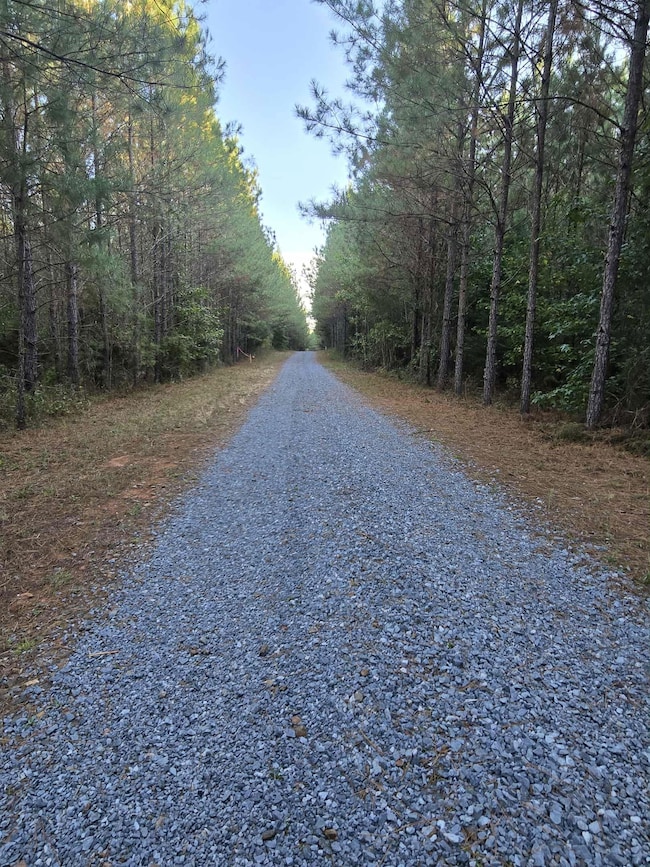 4866 Hwy 42 S, Forsyth, GA 31029 - photo 2