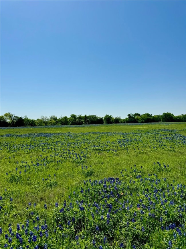 5.01 Acres Farm To Market 308, Penelope, TX 76676 - photo 4