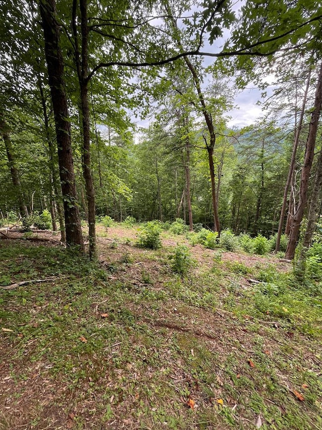 00 Jacobs Mountain Rd, Franklin, NC 28734 - photo 5