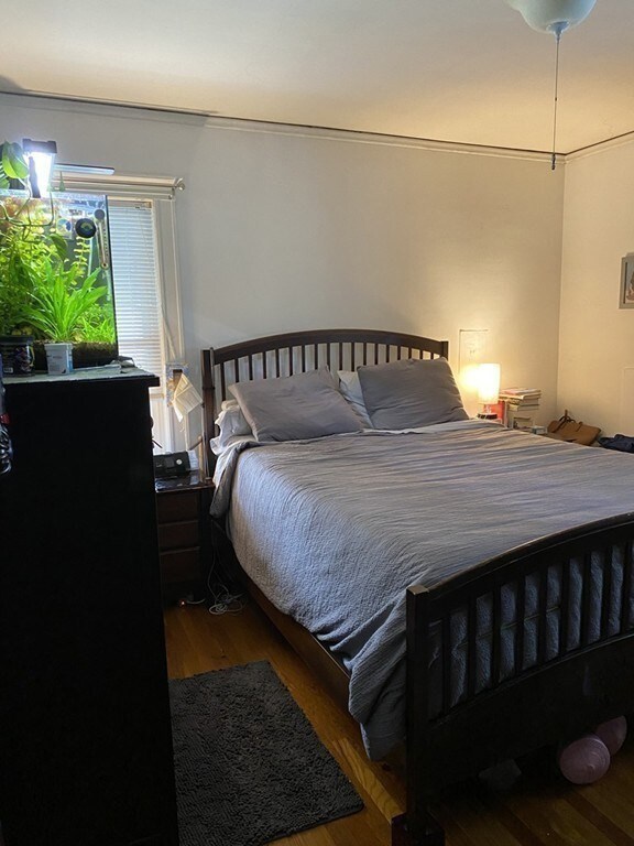 14-16 Upland Rd unit 16, Belmont, MA 02478 - photo 6