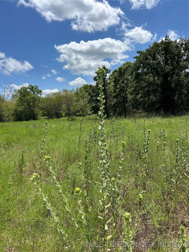 0 Crest St unit 2536071, Wilson, OK 73463 - photo 5