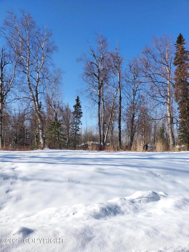 view of the lot