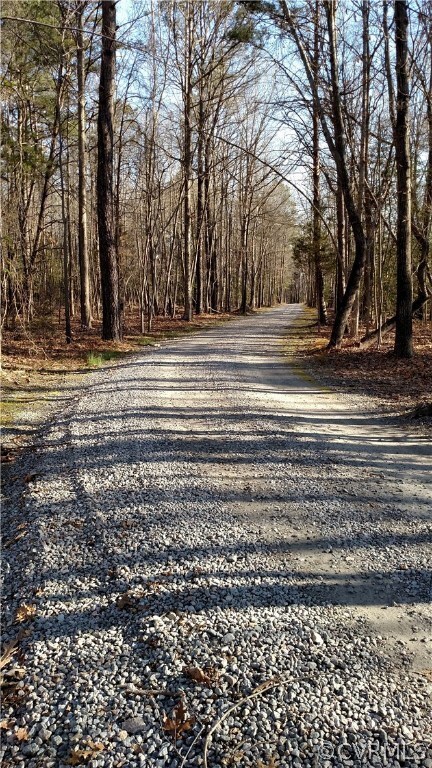 0 Reds Way unit 1809133, Prince George, VA 23842 - photo 4