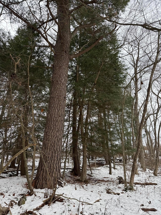 0 Richardsville Rd, Brookville, PA 15825 - photo 6