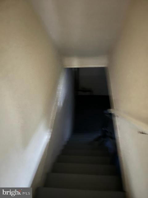 1020 Windsor Rd, Darby, PA 19023 - photo 7