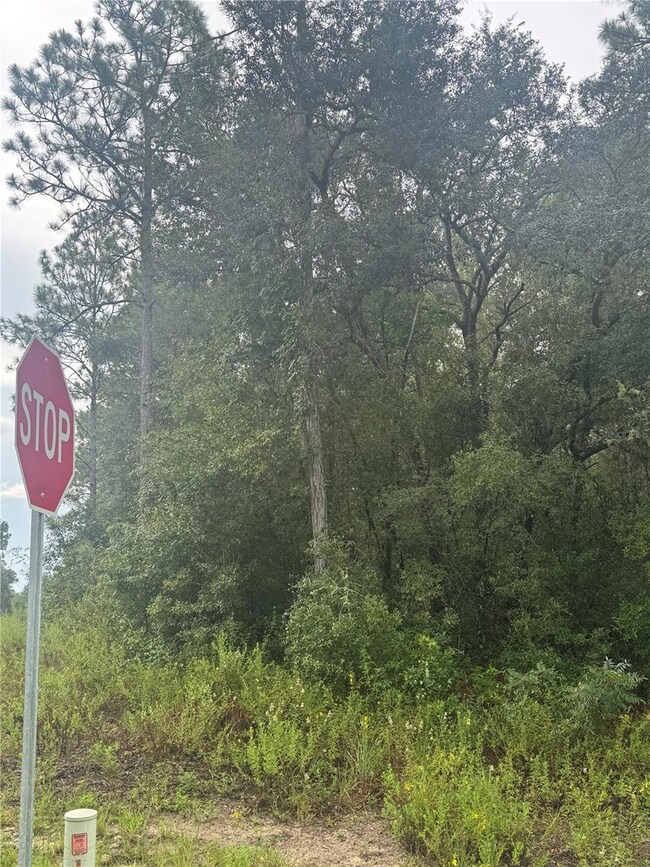 0 Southeast Ave unit MFRO6338893, Webster, FL 33597 - photo 7