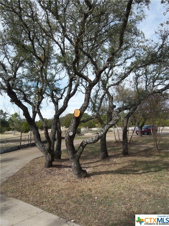 3334 Fm 2808, Kempner, TX 76539 - photo 3