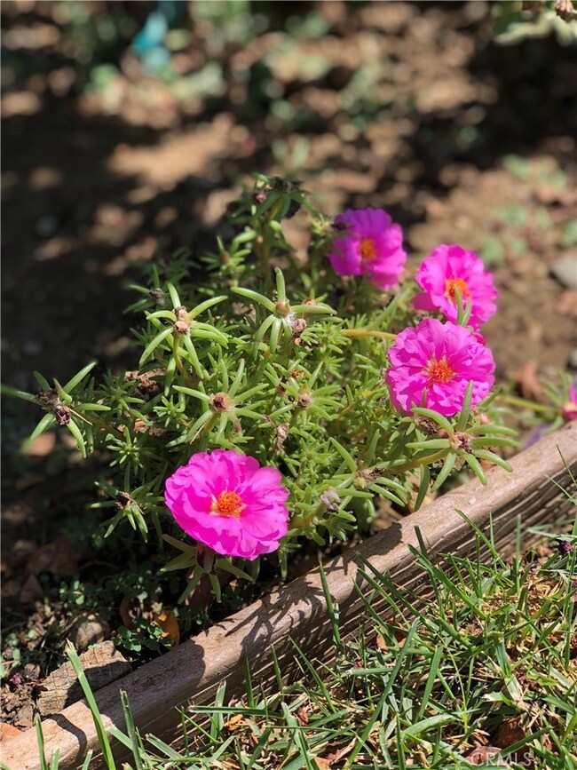 850 Applewood Way, Willows, CA 95988 - photo 5