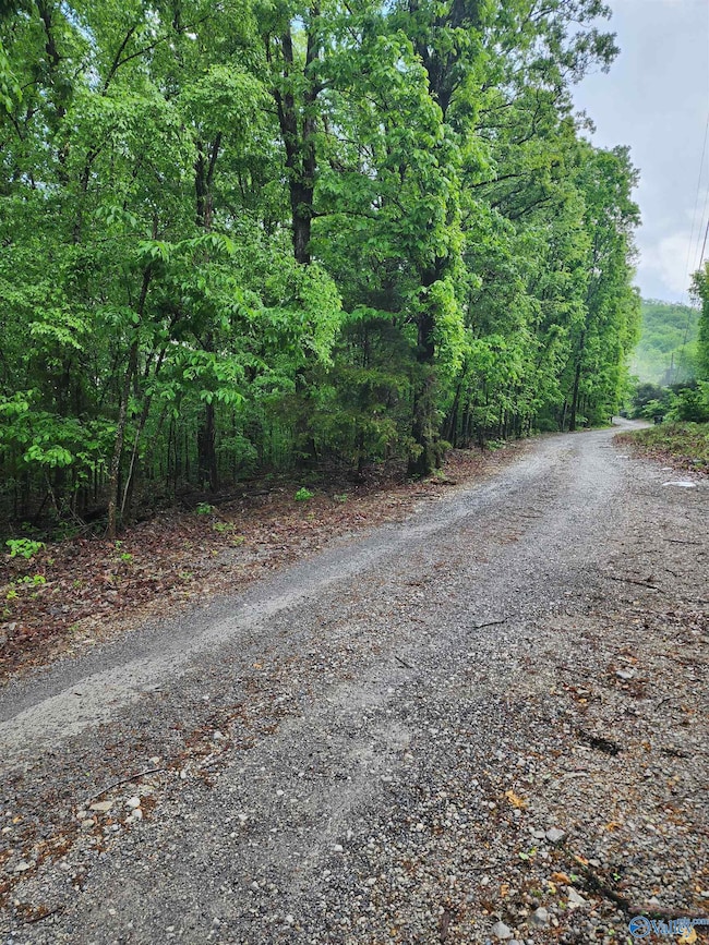 Lot 0 Huskey Mountain Rd, Laceys Spring, AL 35754 - photo 7
