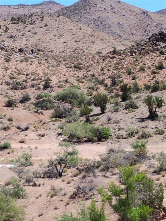 View of mountain backdrop with a desert landscape