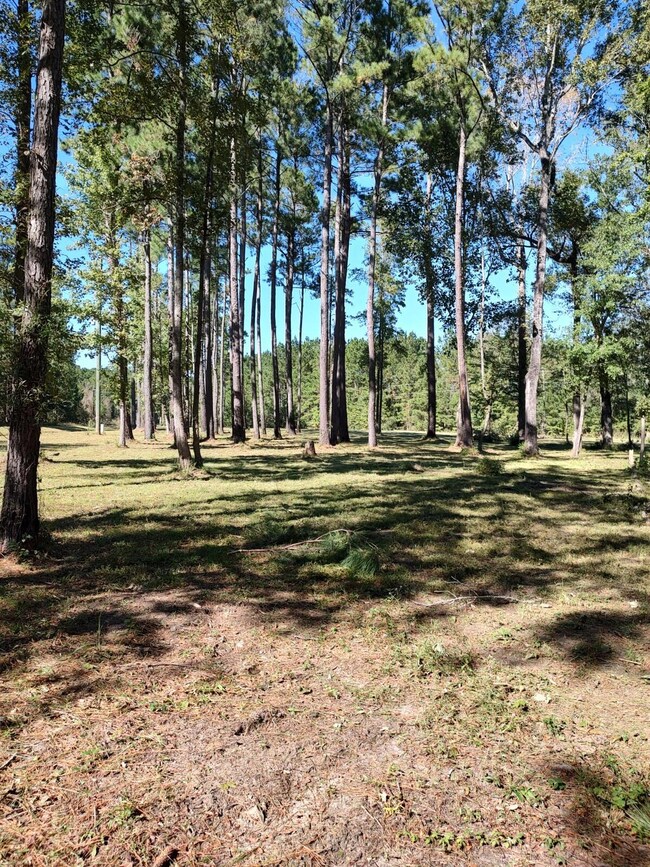 1512 Shulerville Rd, Shulerville, SC 29453 - photo 2