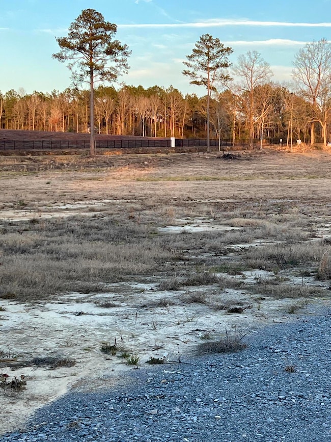 Lot 8 1 ac Patton Creek Rd, Waynesboro, MS 39367 - photo 2