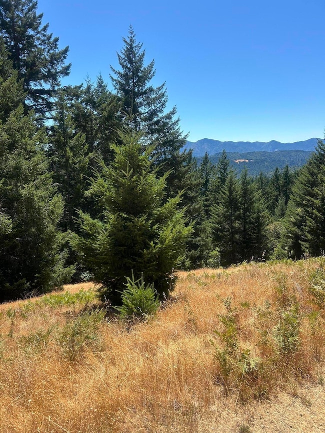 5972 Panther Gap Rd, Honeydew, CA 95545 - photo 3