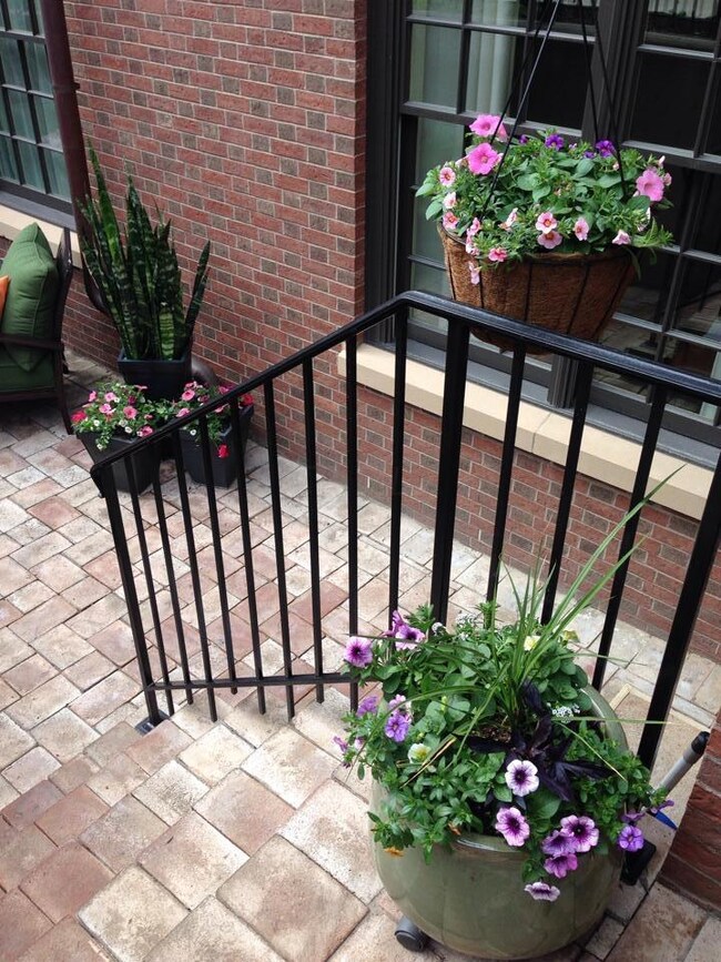 patio3.png