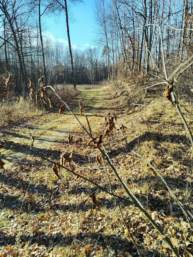 28515 Fool's Lake Dr, Two Inlets Township, MN 56470 - photo 6