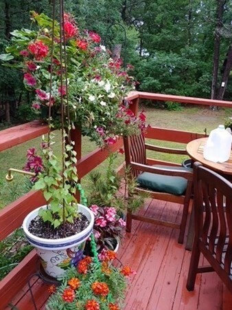 14 Butternut Cir, Cotuit, MA 02635 - photo 5