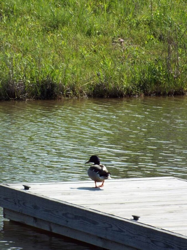 65 Churchill Place unit LOT 65, Madison, MS 39110 - photo 4