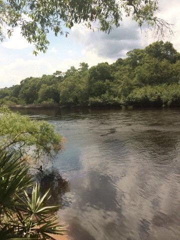 701 Fort McIntosh Loop, Hortense, GA 31543 - photo 3