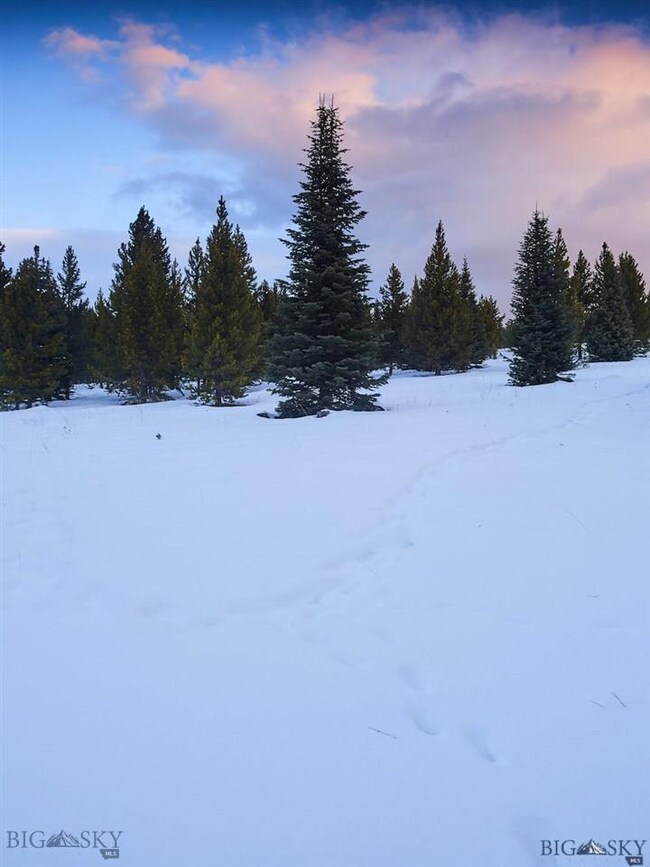 0 Little Plume unit 209999, Big Sky, MT 59716 - photo 5