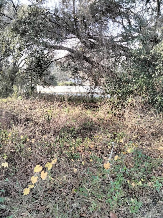 0 Sheeler Oaks Dr unit MFRO6337662, Apopka, FL 32703 - photo 5