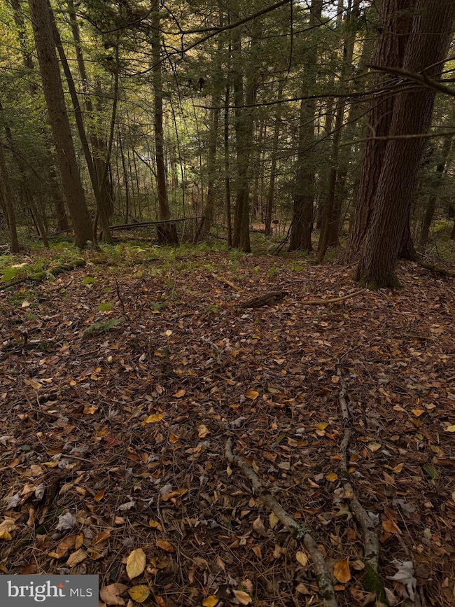 1158 Laurel Grove Rd, New Bloomfield, PA 17068 - photo 4