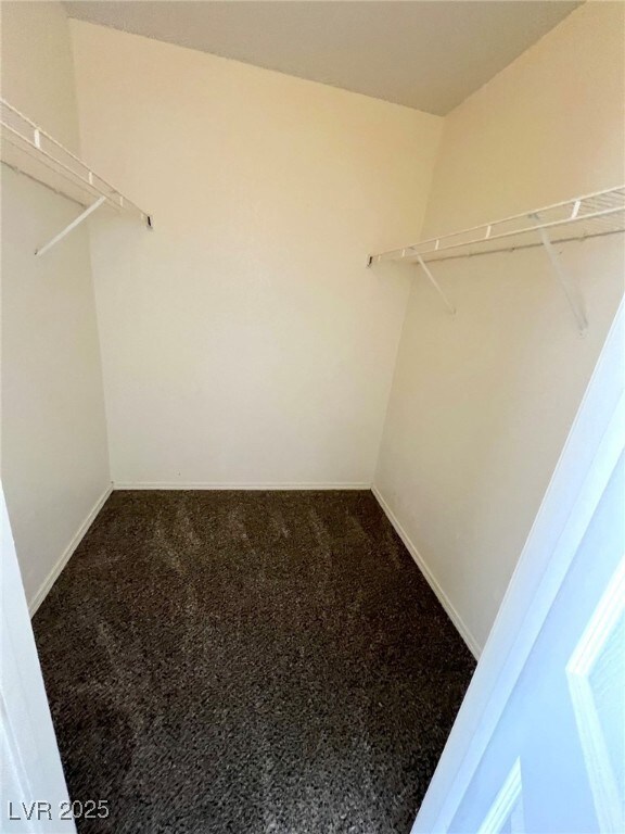 Walk in closet with carpet
