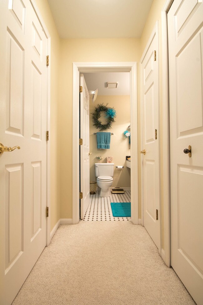 1251 Rhodes Ln unit 1207, Naperville, IL 60540 - photo 4