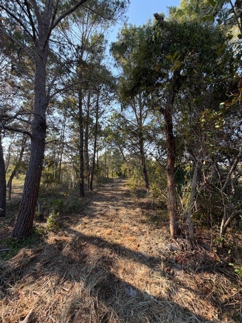 7000 44th Ct, Vero Beach, FL 32967 - photo 3