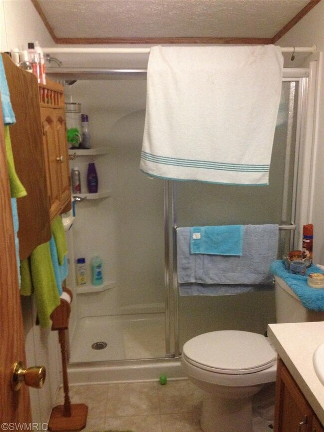 2910 220th Ave, Reed City, MI 49677 - photo 3