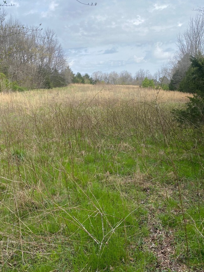 0 Case Rd, Prospect, TN 38477 - photo 2