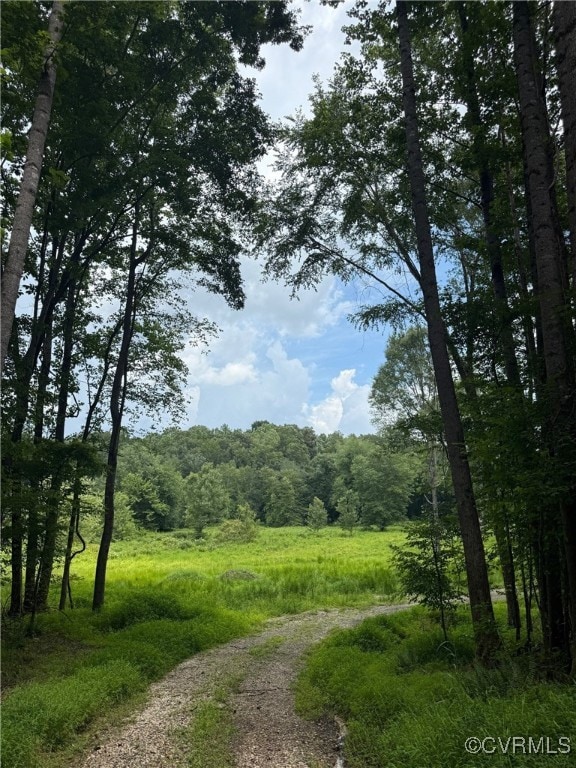 00 John Tyler Memorial Hwy, Charles City, VA 23231 - photo 3