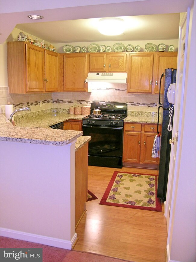 13201 Cloppers Mill Dr unit 11-D, Germantown, MD 20874 - photo 4