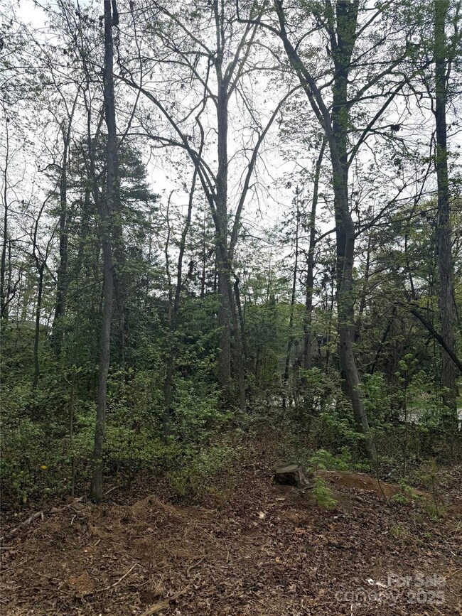 102 Archer Glen unit 27, Eldorado, NC 28127 - photo 6