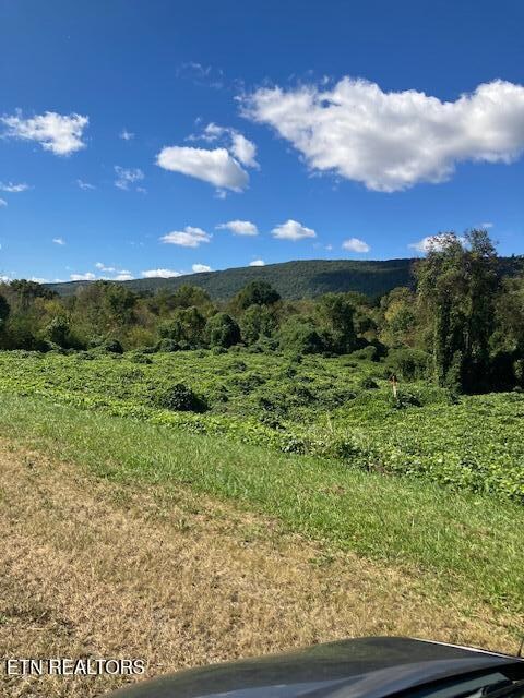 0 Rhea County Hwy 27 unit 1283020, Spring City, TN 37381 - photo 4