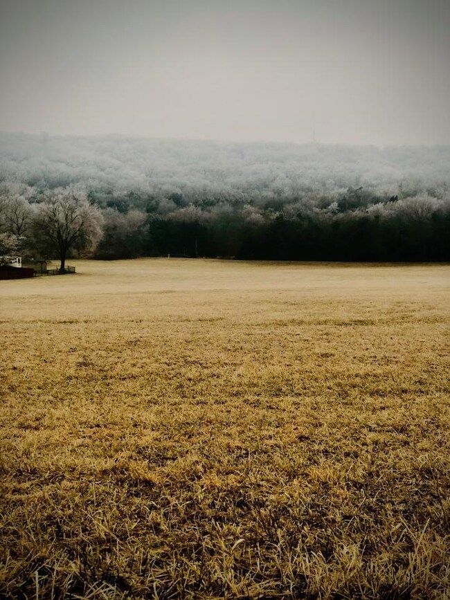 0 W Smith St unit 1174061, West Fork, AR 72774 - photo 4