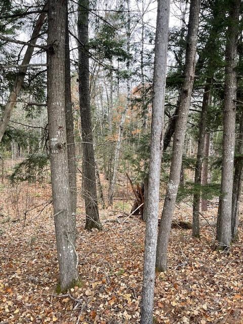 Lot 1 Spring Bridge Rd, Greenbush, ME 04418 - photo 3