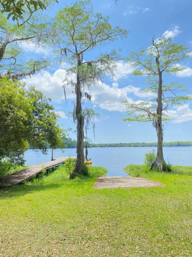 116 Lake Ellen Cir, Crawfordville, FL 32327 - photo 2