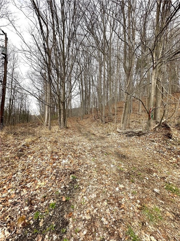 Beginning of driveway