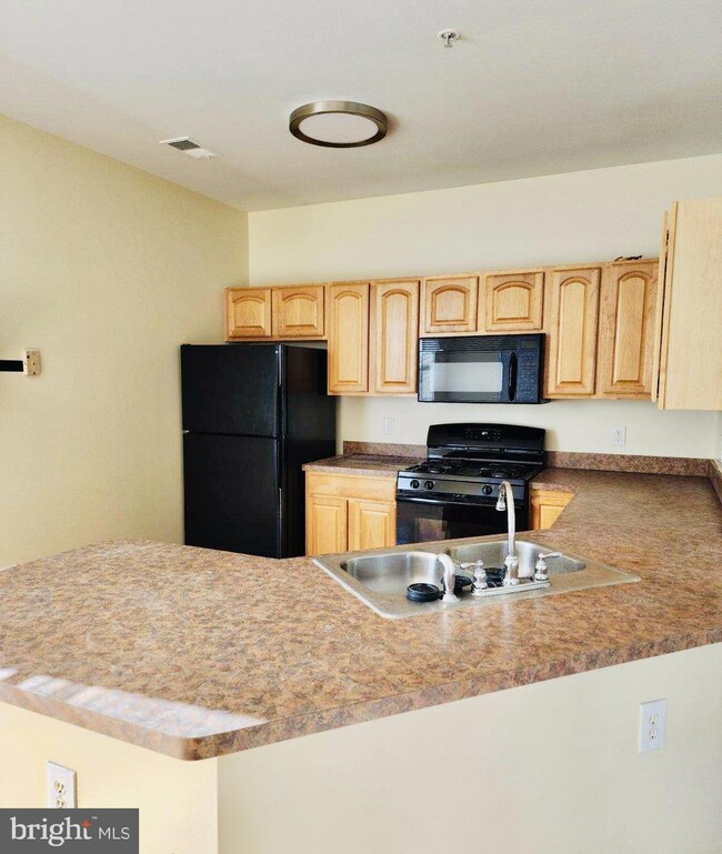 15615 Everglade Ln unit H204, Bowie, MD 20716 - photo 4