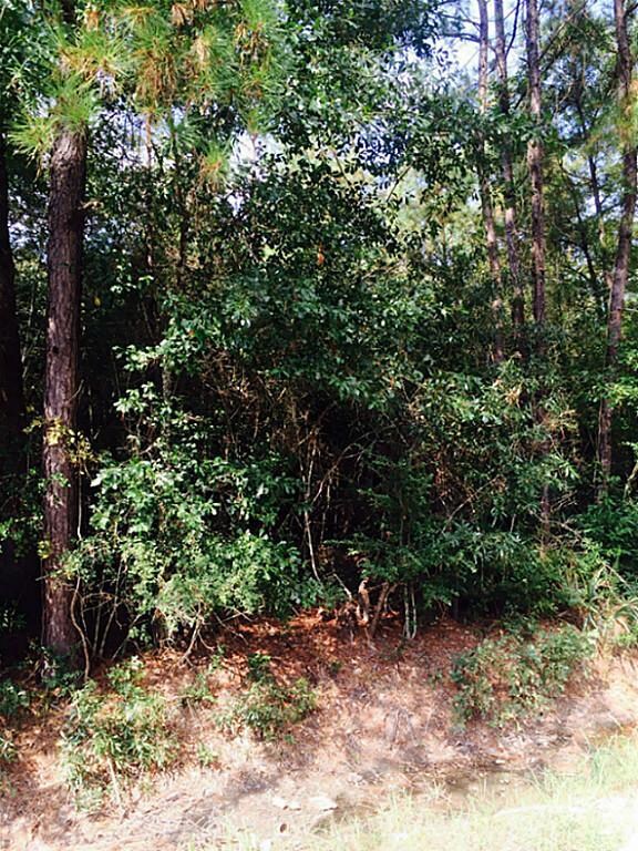 0 Friendship Ln, Conroe, TX 77385 - photo 3