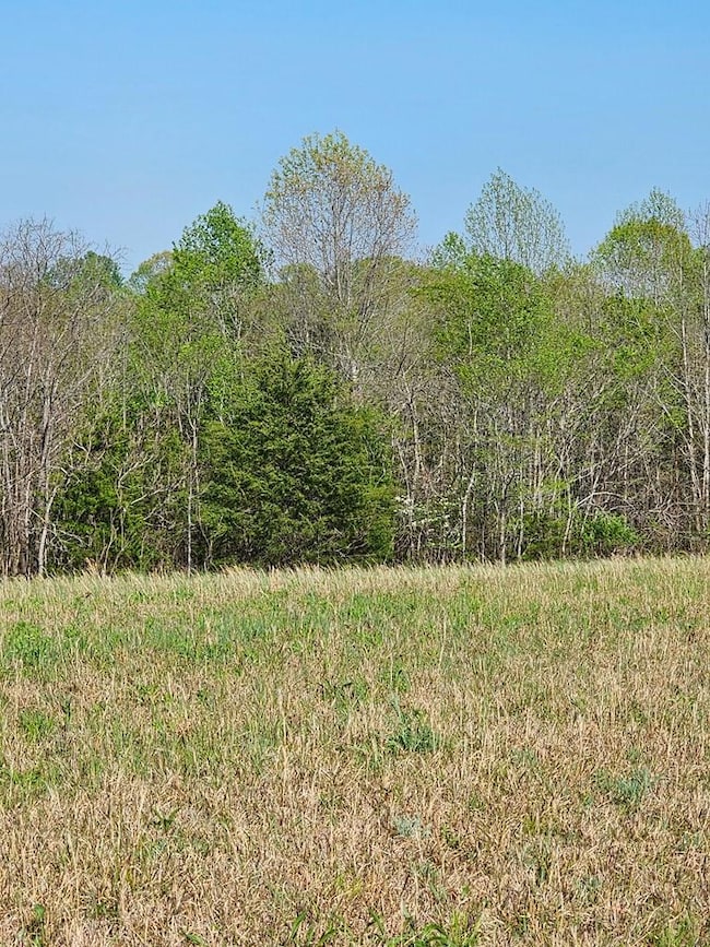 0 Vincent Store Rd, Phenix, VA 23959 - photo 5