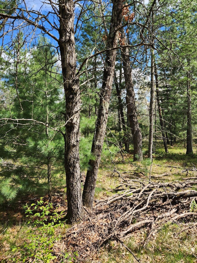 8950 Chatman St, Pleasant Plains Township, MI 49642 - photo 3