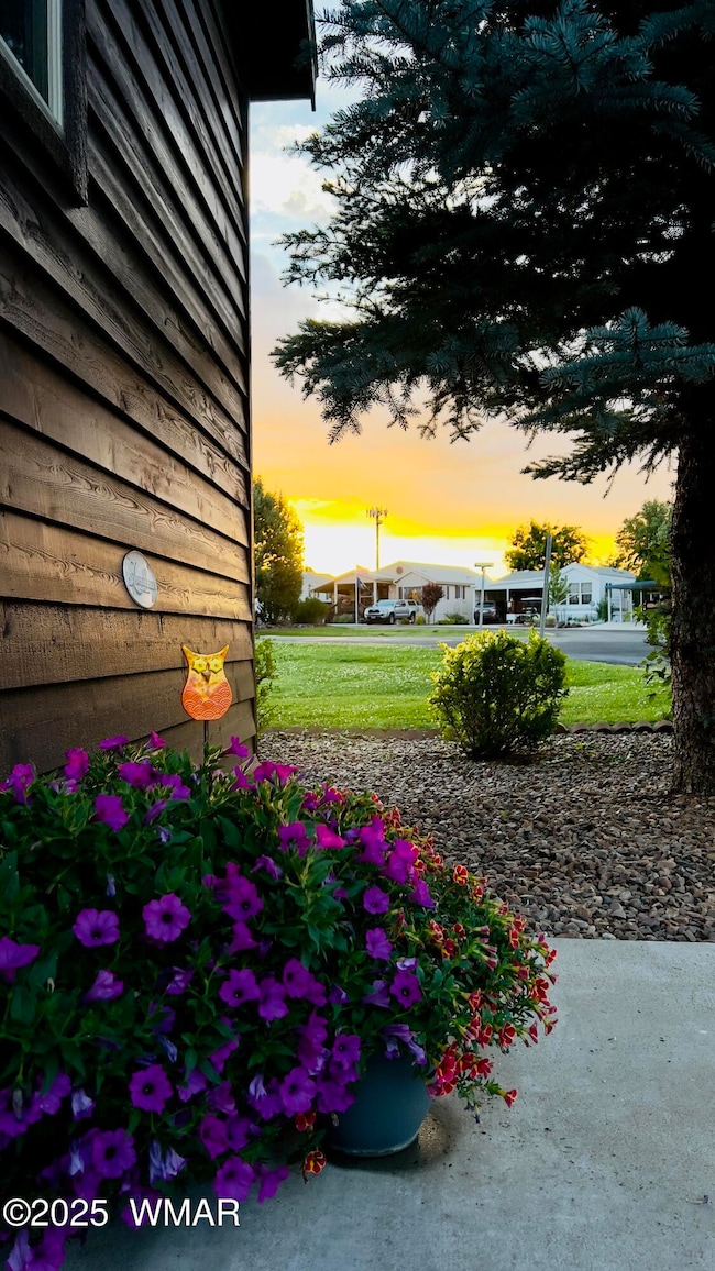 1866 Par Cir, Show Low, AZ 85901 - photo 3