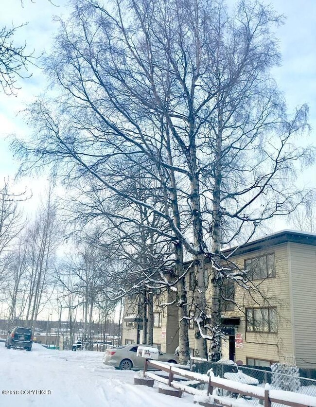 00606_eJuIiNh7uUl_1200x900