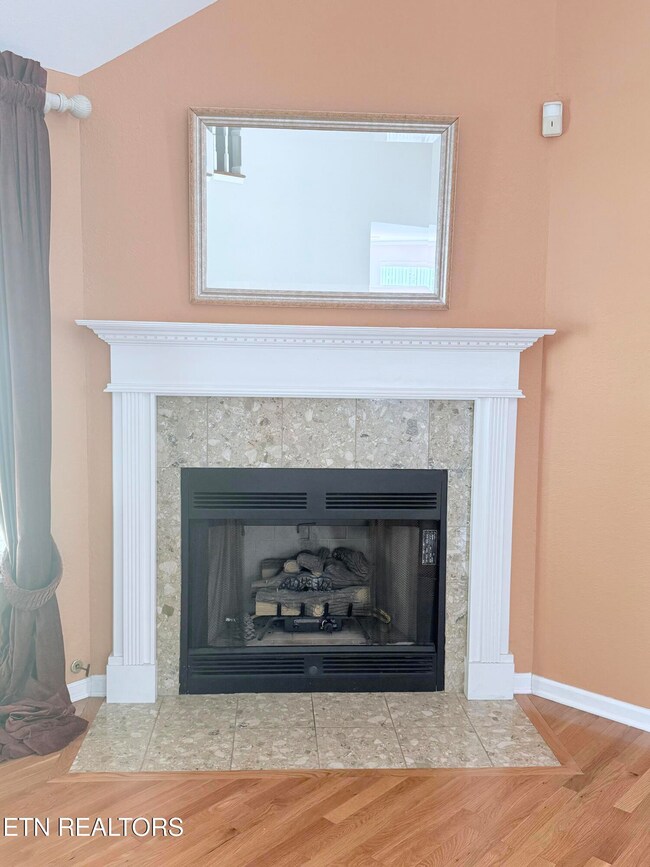LR gas fireplace