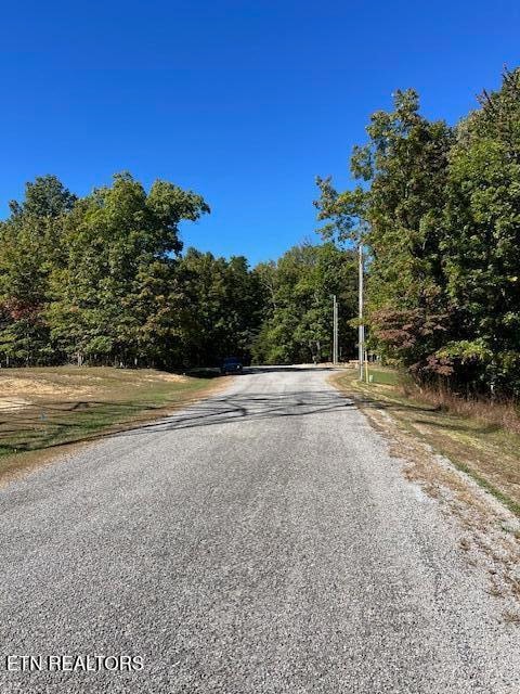 8+9 Slack Place, Monterey, TN 38574 - photo 3